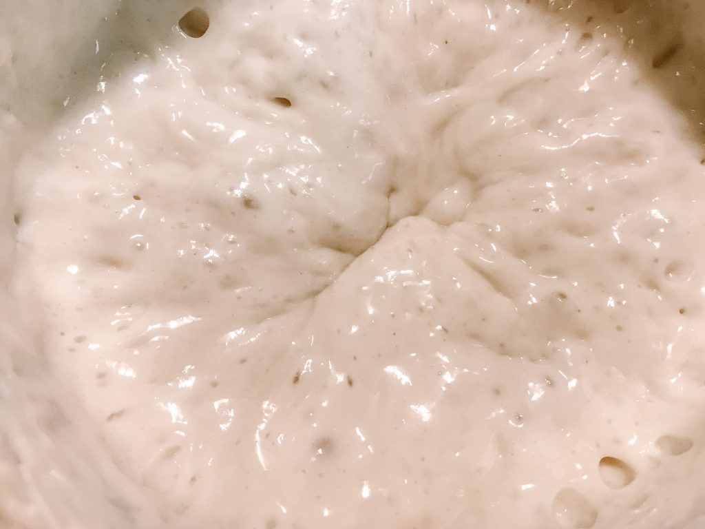sourdough starter from scratch ready to use