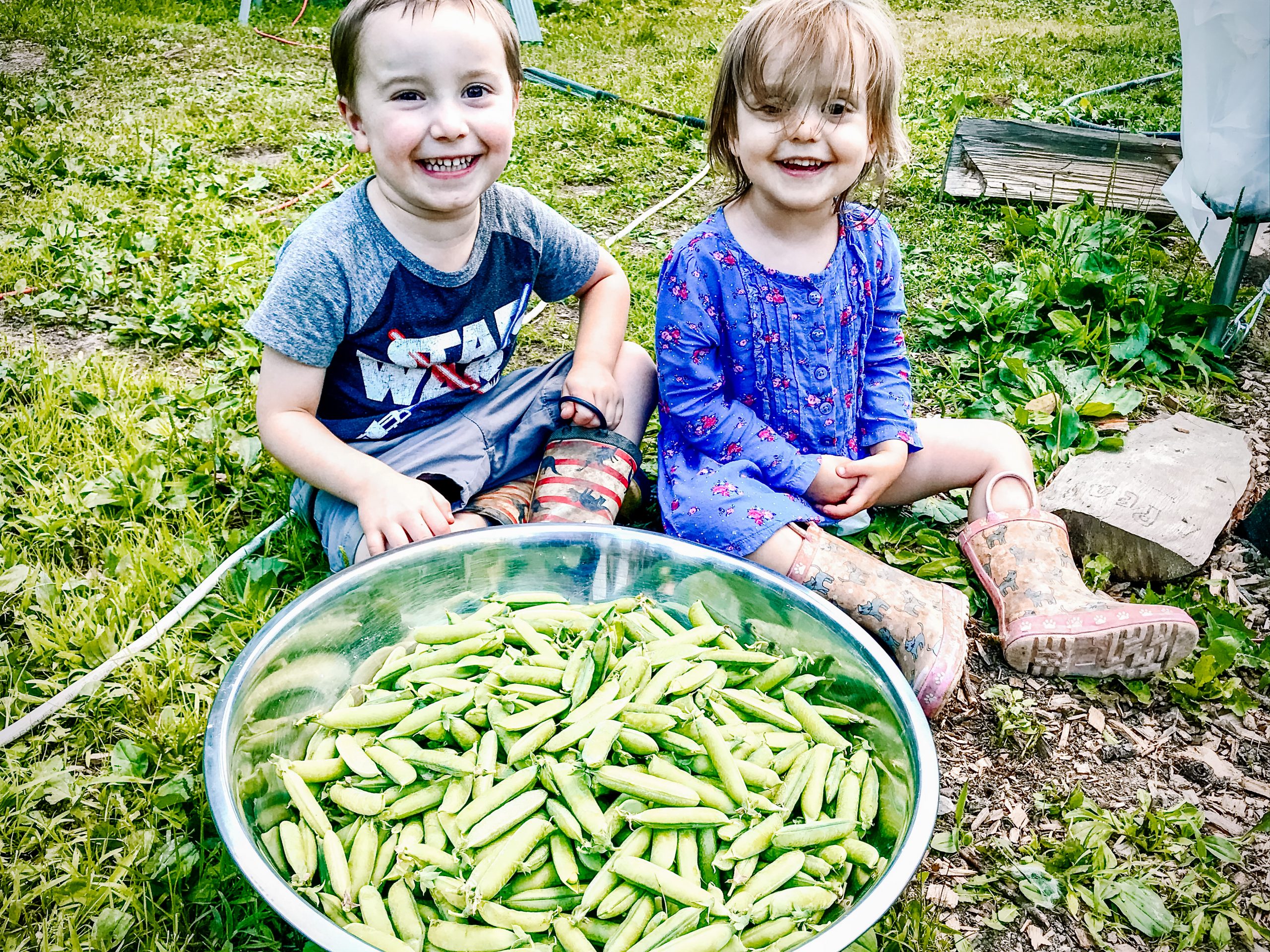 children with a big bowl of peas